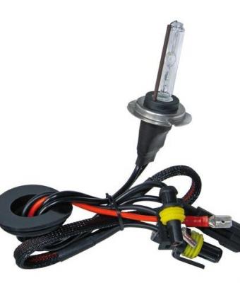Lampadina HID Xenon 12/24V - H7