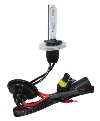 Lampadina HID Xenon 12/24V - H1